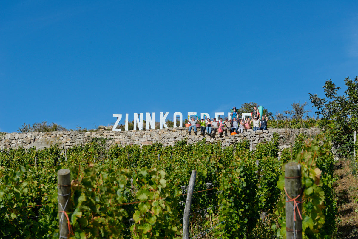 LES JARDINS DU ZIN' 2024 - Domaine Rominger