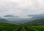 LES JARDINS DU ZIN' 2024 - Domaine Rominger