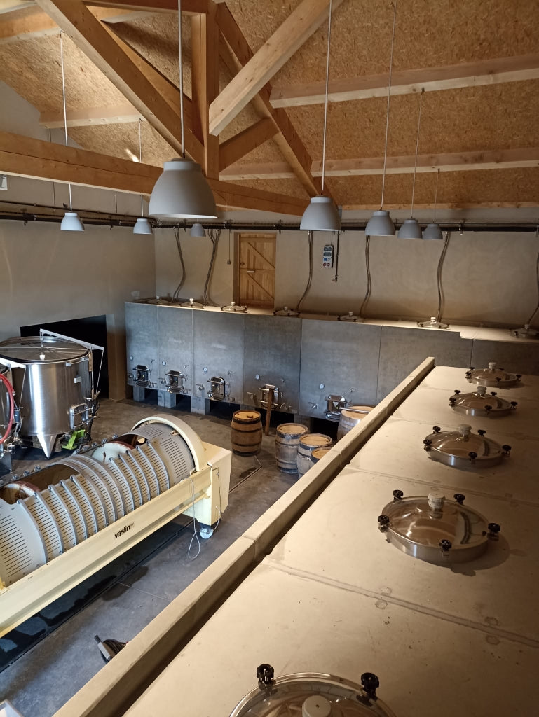 Cep, Domaine Les Eminades, vin, Languedoc, Bettoni, syrah, vin bio, vin biodynamique,  Saint-Chinian, naturel, biodynamique, nature, indigènes, vignes centenaires, 