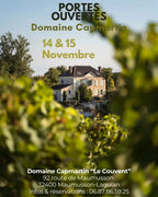 capmartin, bio, cosmique, pimpant, Maumusson-Laguian, sud-ouest, Viognier, Chardonnay, Sauvignon Gris, vins bio, biologique, naturel, sans soufres, nature, le couvent, simon,