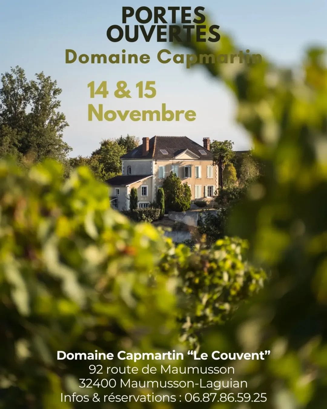 capmartin, bio, cosmique, pimpant, Maumusson-Laguian, sud-ouest, Viognier, Chardonnay, Sauvignon Gris, vins bio, biologique, naturel, sans soufres, nature, le couvent, simon,