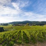 Perdrizière 2022 - Domaine Sérol