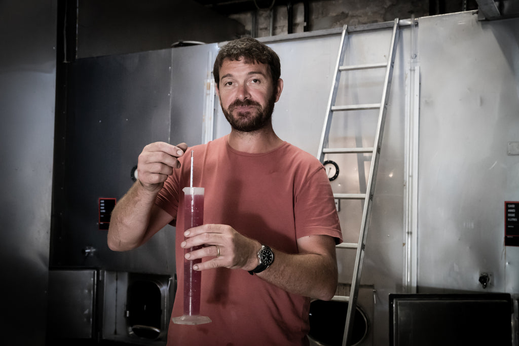 Coteaux, vignobles, Domaine Renardat Fâche, Cerdon, Gamay, Poulsard, pétillant méthode ancestrale, vin Bio, nature, bulles, cave, cuves inox, vinification Biodynamie