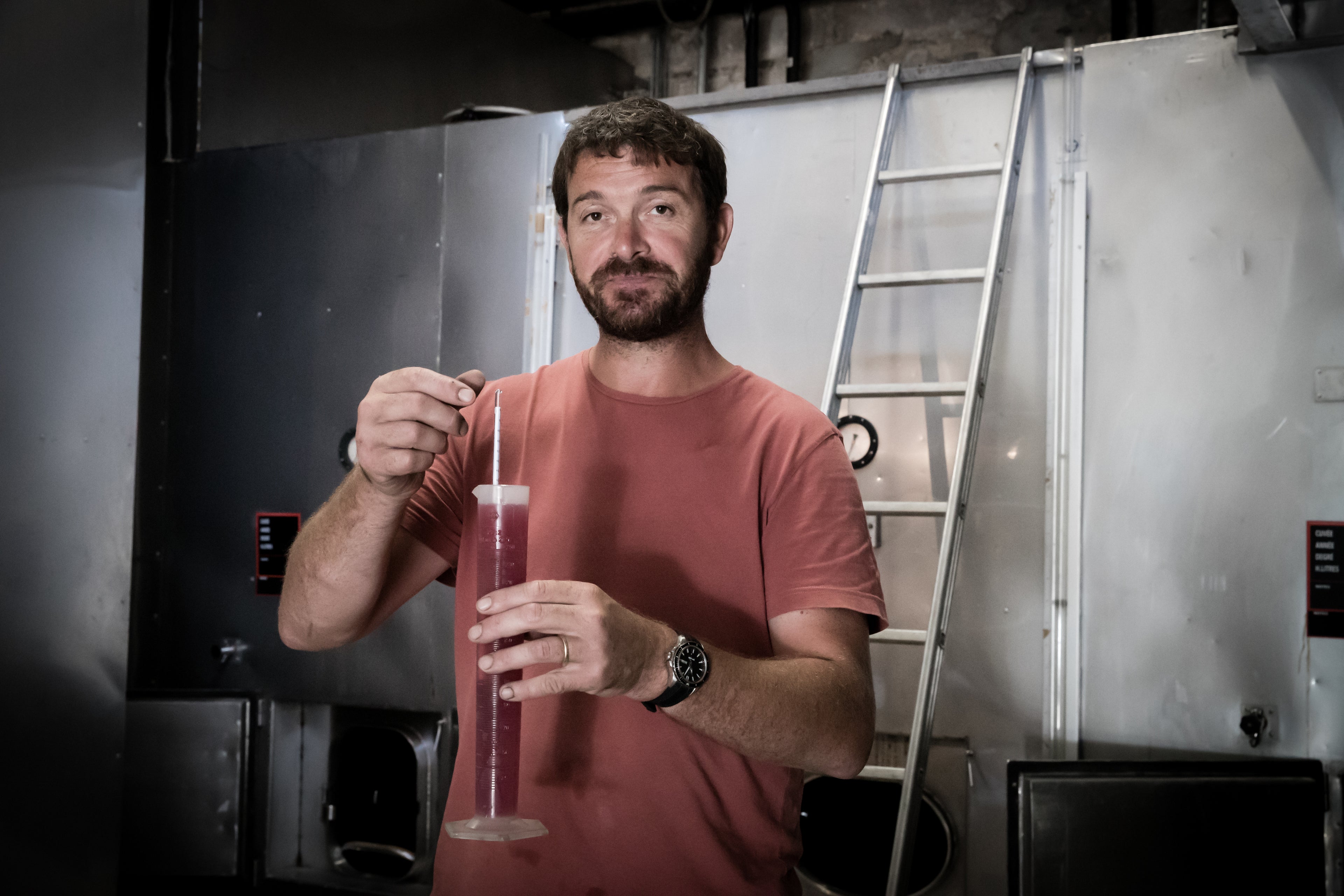 Coteaux, vignobles, Domaine Renardat Fâche, Cerdon, Gamay, Poulsard, pétillant méthode ancestrale, vin Bio, nature, bulles, cave, cuves inox, vinification Biodynamie