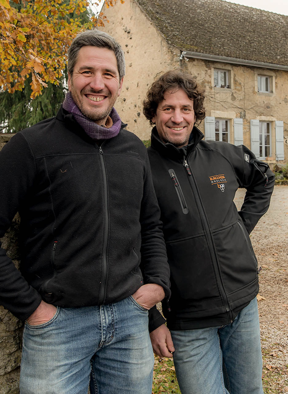 Domaine Chevrot et Fils, bourgogne, santenay, bio, vin bio, cheval, pinot noir, maranges, biodiversité, engrais verts, travail du sol, caves voûtées 18ème s., 2 frères, 