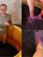 Le vigneron, Lionel Brénier, foulage du raisin au pied, à l'ancienne, vin conversion bio, naturel, syrah, passion, vin, Isère, Côtes-du-Rhône, prestige, coteaux, Côte-Rôtie