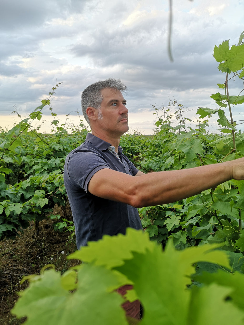 Le vigneron dans ses vignes Domaine des Grouas vin Bio, Anjou, Loire, nature, Chenin