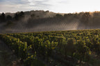 vin bio, biodynamie, cahors, malbec, côt, jouves, bio, cheval, nature, naturel, calcaires, coteaux, sain, sans sulfites, mas del périé, amphores, la roque, escures, fuck, 