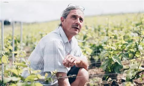 Cuvée de Réserve Brut - Domaine Piollot