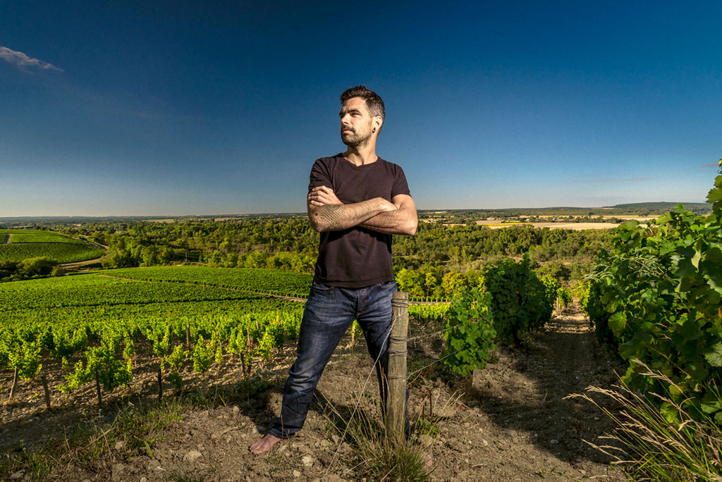 Élisa 2023 -  Domaine Pabiot