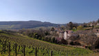 Pernand-Vergelesse, 1er Cru, Les vergelesses, Domaine Pavelot, bourgogne, Bio, pinot noir, naturedevin.com, vin, rouge, grand vin, sans pesticides de synthèse, vins bio, vin bio, bourgogne bio, Corton, Charlemagne, terroir, climat, prestige, paniers, osier,
