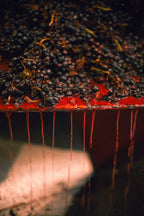 Beaujolais Nouveau 2024 - Domaine Chasselay