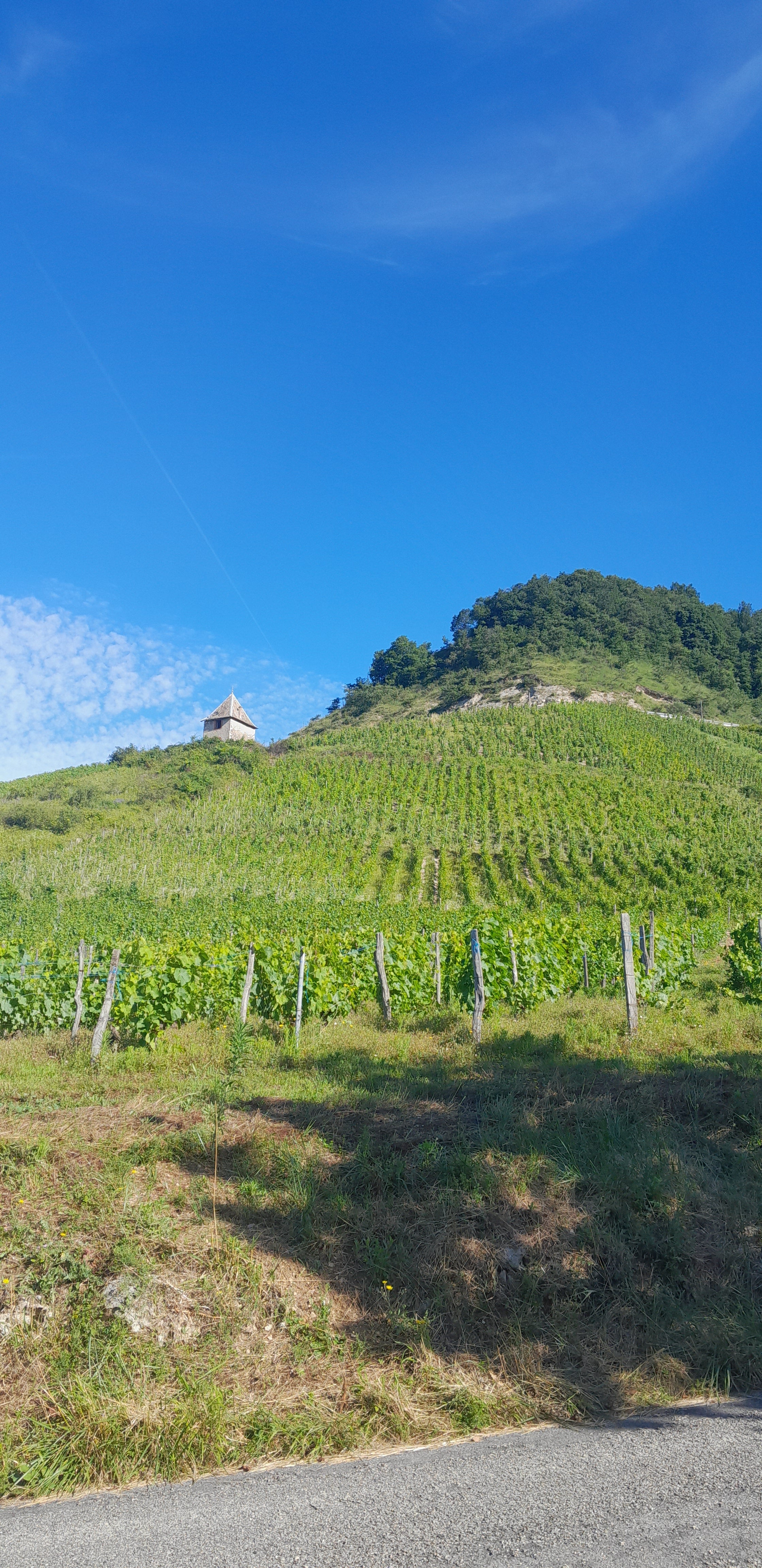 RàS 2020, Cave C'Messieurs, Montagnieu, Bugey, Ain, vins bio, bio, crama cindy, mondeuse, naturel, nature, 