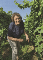 LES JARDINS DU ZIN' 2024 - Domaine Rominger