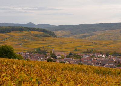 LES JARDINS DU ZIN' 2024 - Domaine Rominger
