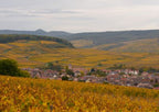 LES JARDINS DU ZIN' 2024 - Domaine Rominger