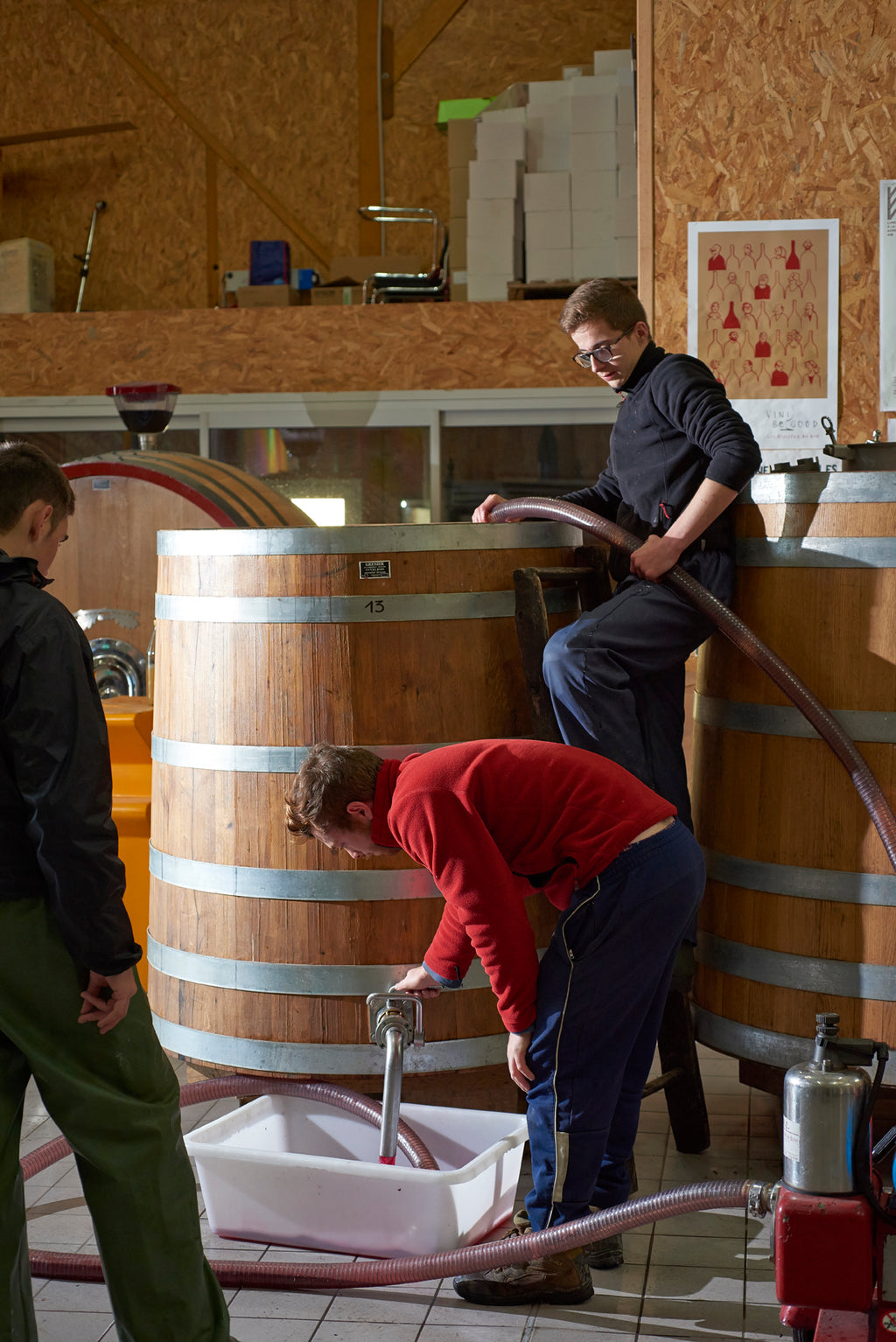 Bourgueil Le Cabernet Franc 2022 - Domaine Breton