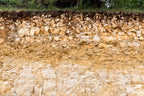 vin bio, biodynamie, cahors, malbec, côt, jouves, bio, cheval, nature, naturel, calcaires, coteaux, sain, sans sulfites, mas del périé, amphores, la roque, escures, fuck, 