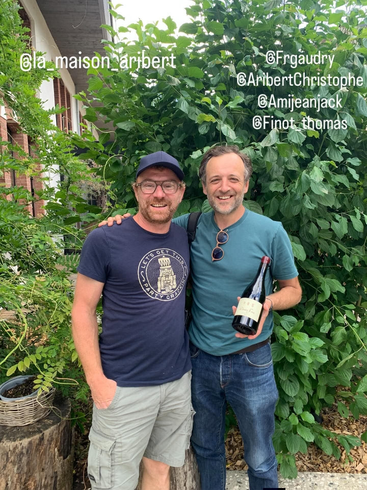 Les vignes, Domaine Finot, Isère, vin Bio, naturel, persan verdesse, etraire, rhône alpes, étonnant, cépages anciens, cépages oubliés, vin blanc bio, vin rouge bio, Chaîne des Belledonne, vendanges, françois-régis Gaudry, France Inter, 