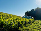 Le vigneron Piollot, Domaine Piollot, Champagne, Brut, Bio, Champagne Bio, Pinot Noir, Chardonnay, sain, vivant, nature, naturel, calcaire, Côte des Bars, vin Bio, bulles Bio, BIODYNAMIE,