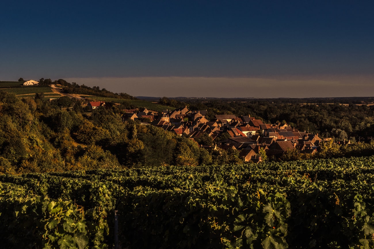 Vignes Bio, Pouilly fumé, Domaine Pabiot, Sancerre, Sauvignon, Loire, Coteaux, Biodynamie, Biodyvin, Demeter, Pabiot, vin Bio