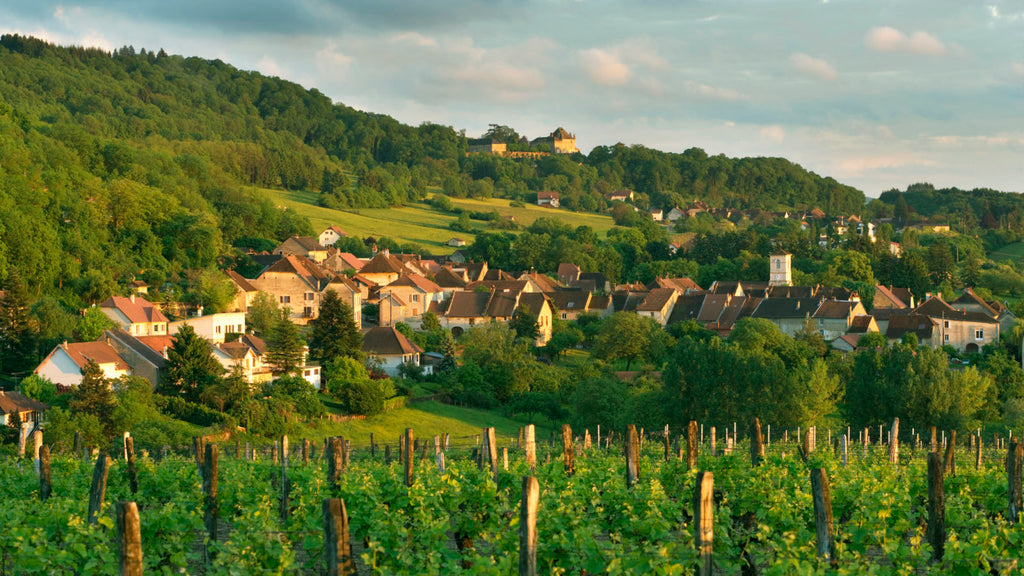 Croix Sarrant 2023, Domaine les Dolomies, travail au cheval, vignes Croix Sarran, domaine Les Dolomies, vins bio, bio, biodynamie, jura, naturel, nature, savagnin, nez dans le verre, salon vin bio jura, passenans,