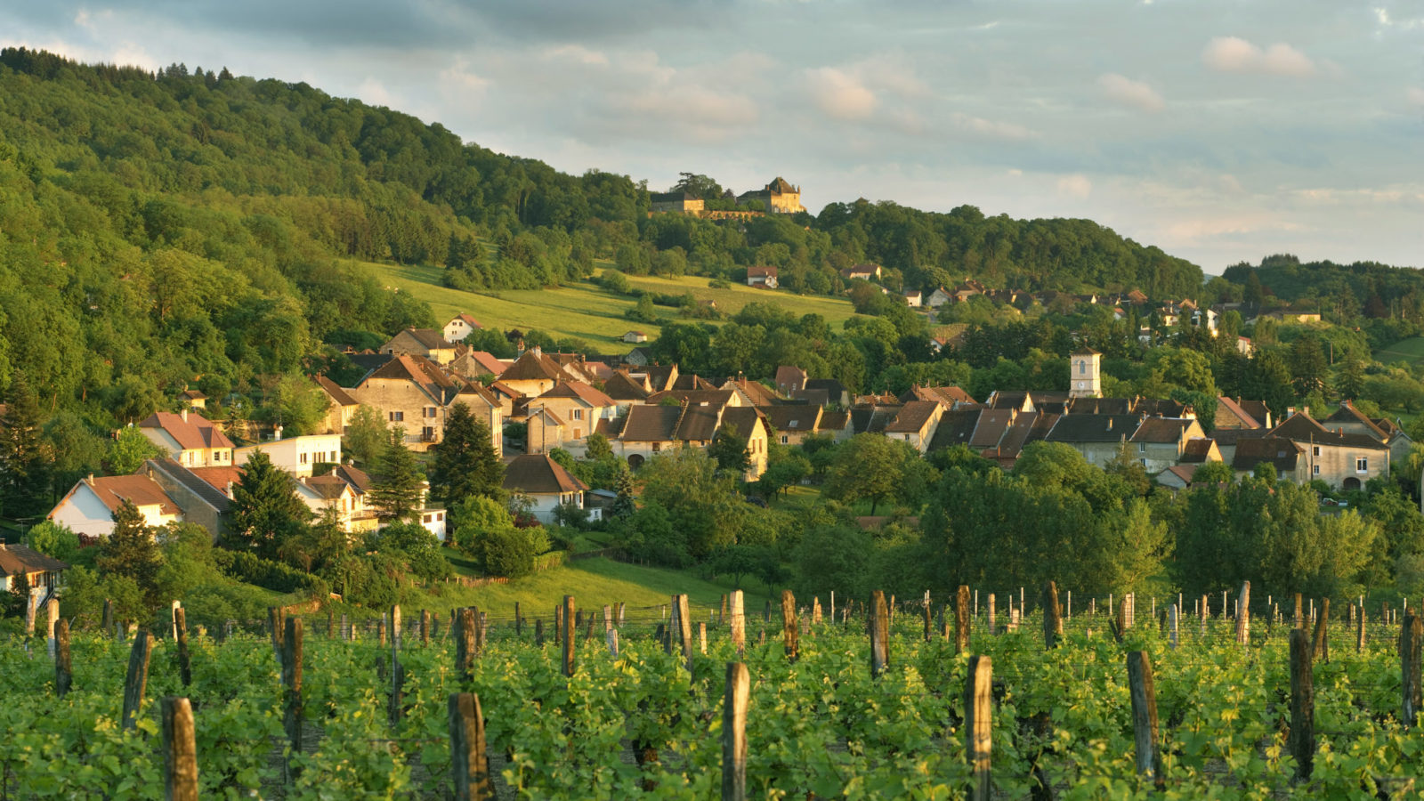 Croix Sarrant 2023, Domaine les Dolomies, travail au cheval, vignes Croix Sarran, domaine Les Dolomies, vins bio, bio, biodynamie, jura, naturel, nature, savagnin, nez dans le verre, salon vin bio jura, passenans,