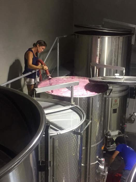 Vin Bio, Barthassade, Languedoc, terrasses du Larzac, naturel, vin nature, 