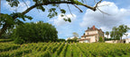 capmartin, bio, cosmique, pimpant, Maumusson-Laguian, sud-ouest, Viognier, Chardonnay, Sauvignon Gris, vins bio, biologique, naturel, sans soufres, nature,
