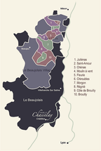 Famille Chasselay, beaujolais, gamay, vins bio, bio, granite, nature, 