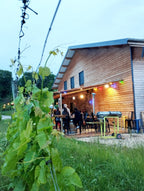 Altesse 2023 - Domaine Giachino