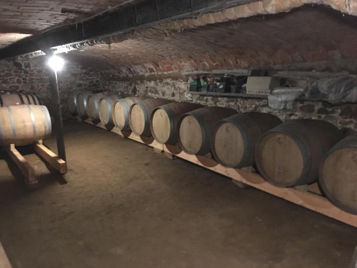 vignes, acheter vin bio, vin, vin bio, Côtes du rhône, naturel, vin nature, vin rouge bio, eclassan, bardes, tracol, rhône, bio, biodynamie, aix les bains, savoie, fûts chêne,