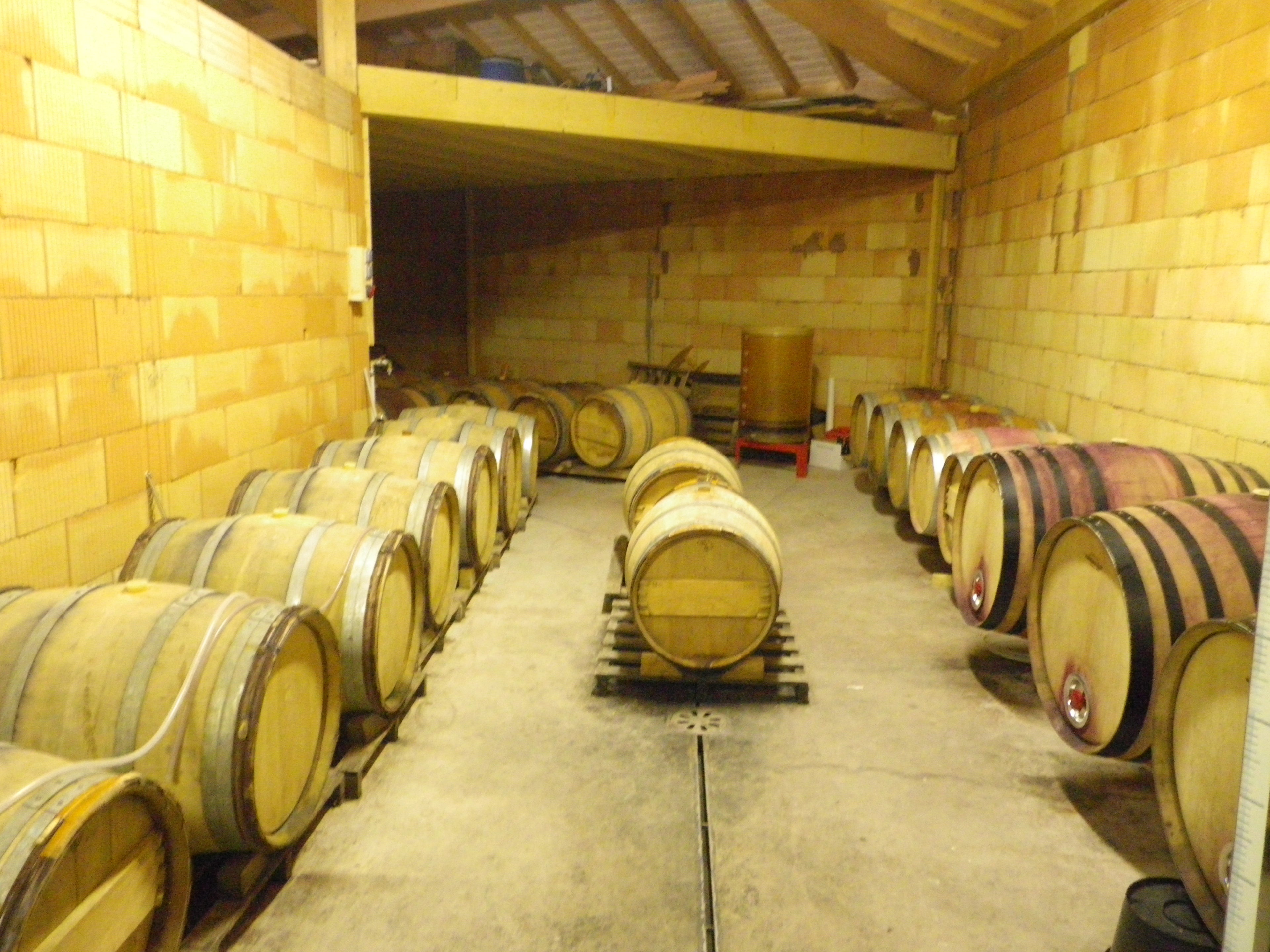 cave à barriques, domaine des orchis, héritier, vins bio, bio, biodynamique, frangy, savoie, haute-savoie, dynamiseur, énergie, vibration, altesse, résonance, mondeuse, talloire, poisy, nombre d'or, escargots, dynamisés, 