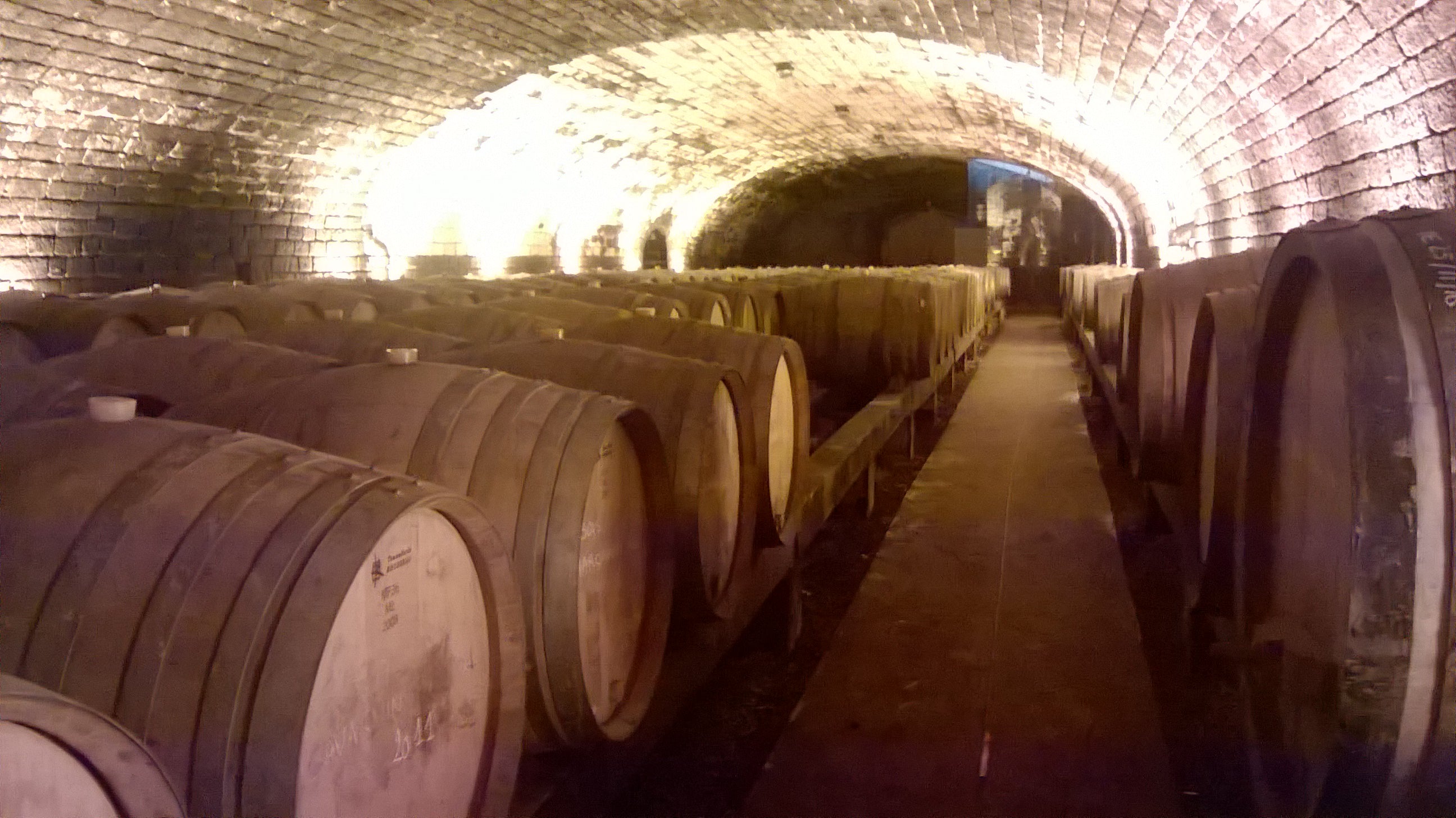 jura, pinte, bio, vin, jaune