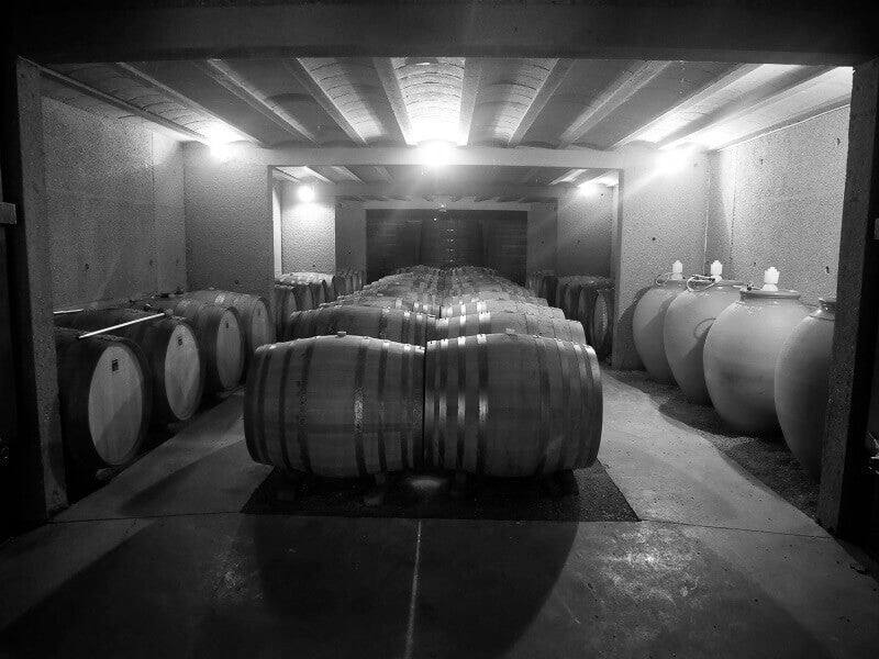 cave, futs, Ivresses 2023, Domaine Canet-Valette, saint-Chinian, bio, vins bio, grenache, yrah, carignan, 
