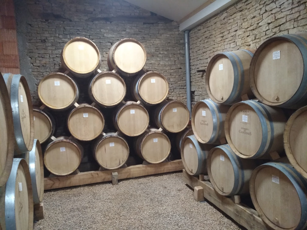 Mâcon-Péronne 2023 - Domaine des Gandines