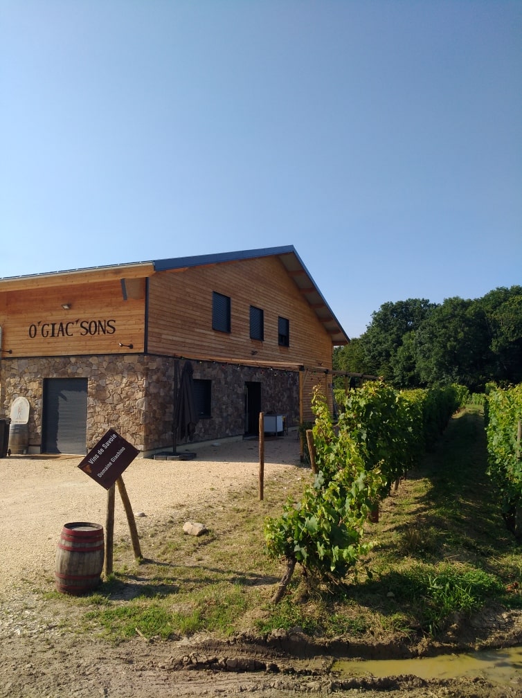 Apremont, Savoie, domaine Giachino, vins bio, bio, Biodynamie, vins biodynamiques, Giachino, abymes, Etraire, persan, douce noire, Granier, mont blanc, concert , Demeter, Jacquère, cépages anciens, star, naturel, nature, Mondeuse, O'Giac'Sons, 