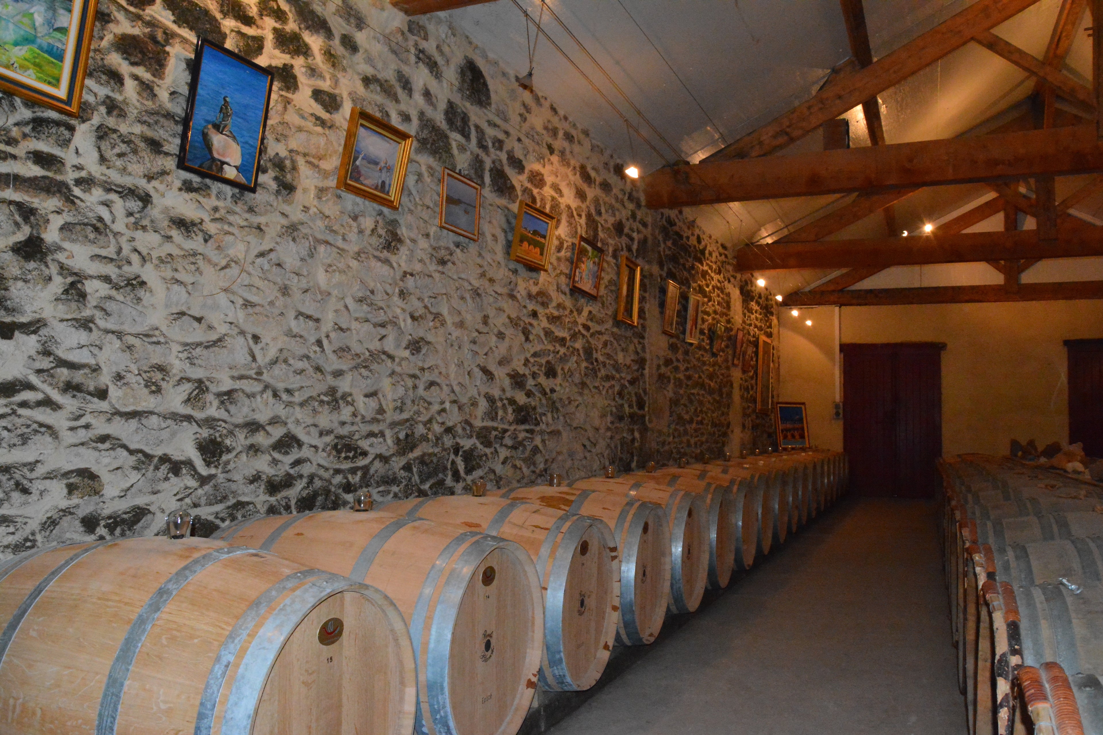 château dudon, sauternes, liquoreux, vin, vins bio, Bio, semillon, sauvignon, bordeaux, nature, 