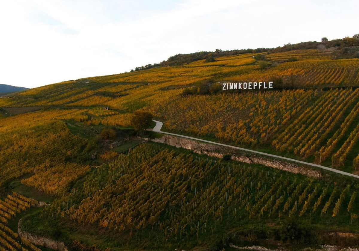 LES JARDINS DU ZIN', Domaine Rominger,
Riesling, Pinot Gris, Gewurztraminer, Zinnkoepflé, Biodynamie, vin Bio, bio, biologique, alsace, cru, terroir, vin, gourmandise, aromatique, westhalten,