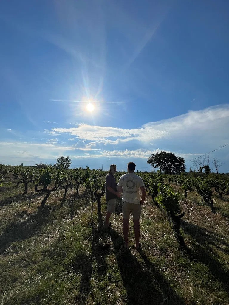 Les vignes, Ardèche, Côte-du-Rhône, Bio, vin méthode nature, naturel, Grenache, Bio, vins Bio, sans intrant, Badéa,