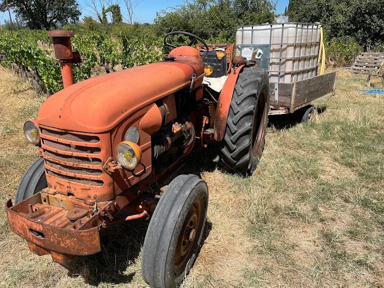 Les vignes, Ardèche, Côte-du-Rhône, Bio, vin méthode nature, naturel, Grenache, Bio, vins Bio, sans intrant, Badéa,