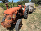 Les vignes, Ardèche, Côte-du-Rhône, Bio, vin méthode nature, naturel, Grenache, Bio, vins Bio, sans intrant, Badéa,