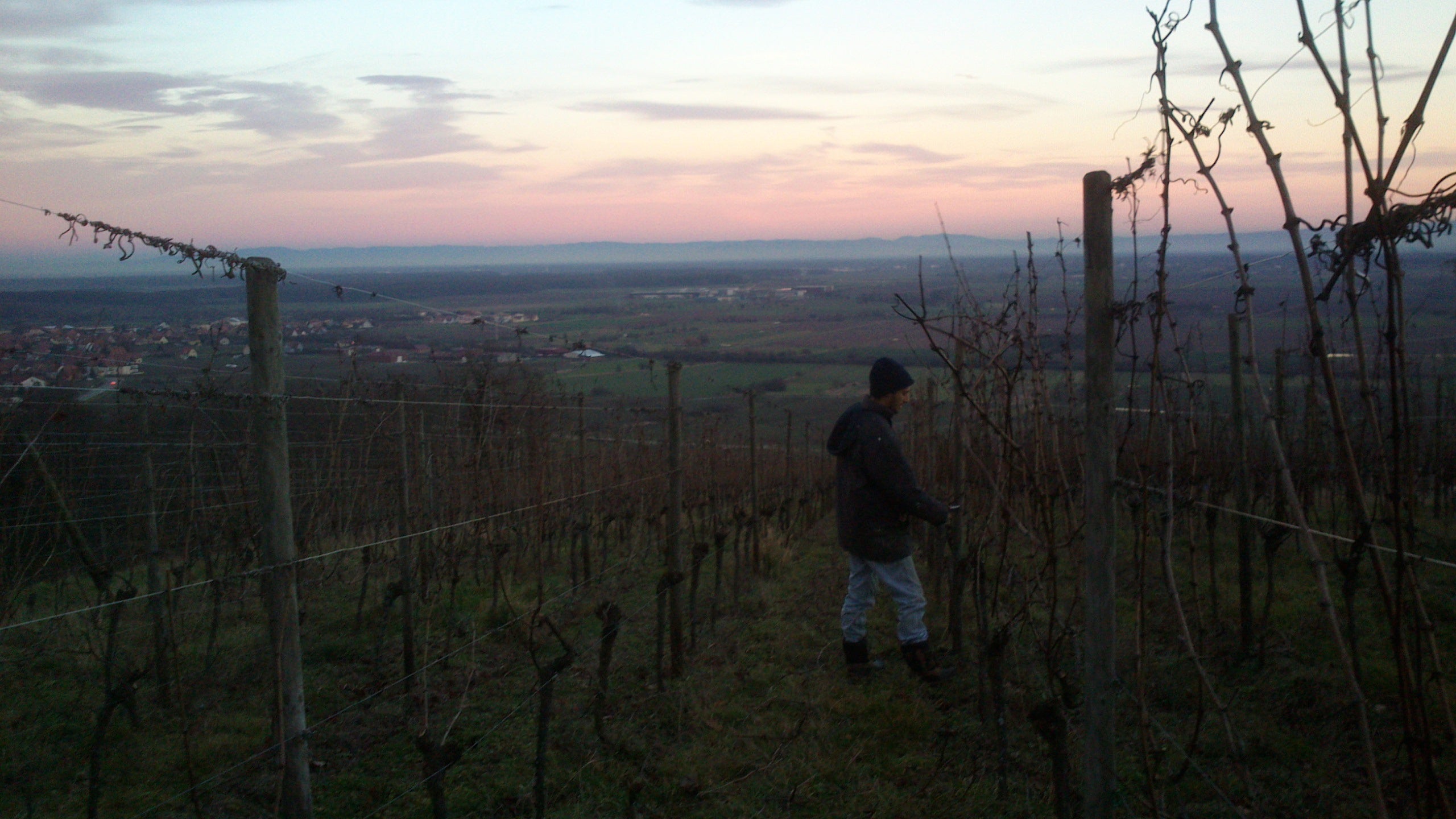 Bungertal 2018 - Domaine Beck-Hartweg
