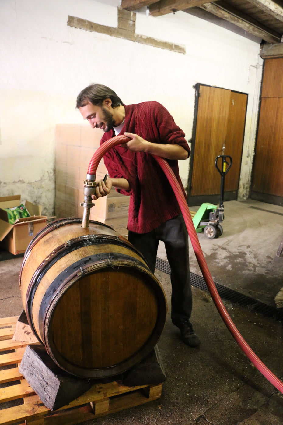 domaine beck-hartweg, alsace, vins bio, bio, naturel, nature, vivant, biodiversité, terroir, 