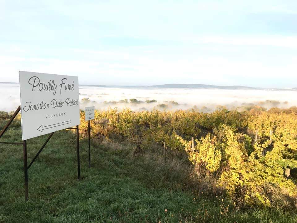 Élisa 2023 -  Domaine Pabiot