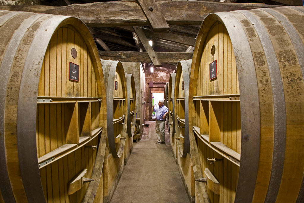 château le puy, bordeaux, légende, merlot, vin bio, Biodynamie, vins biodynamiques, franc, côte de franc, amoreau, nature, naturel, merveille, saint-émilion, demeter, vignes bio, respect du sol, vivant, cheval, énergie, foudres expérimentés, dégustation, 