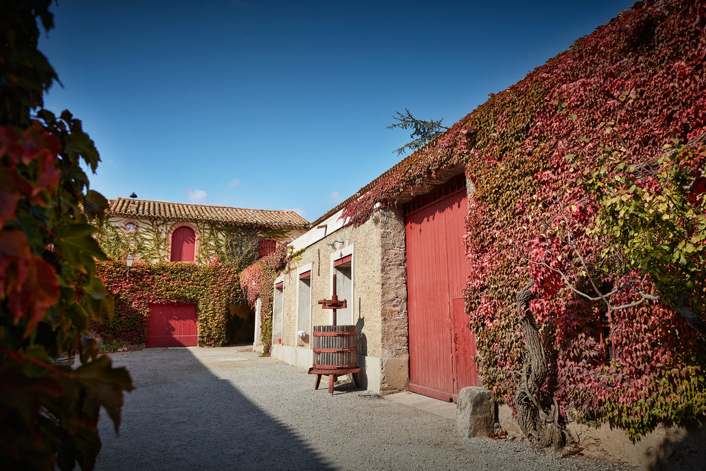 Arbalète et Coquelicot 2023 - Domaine Sénat