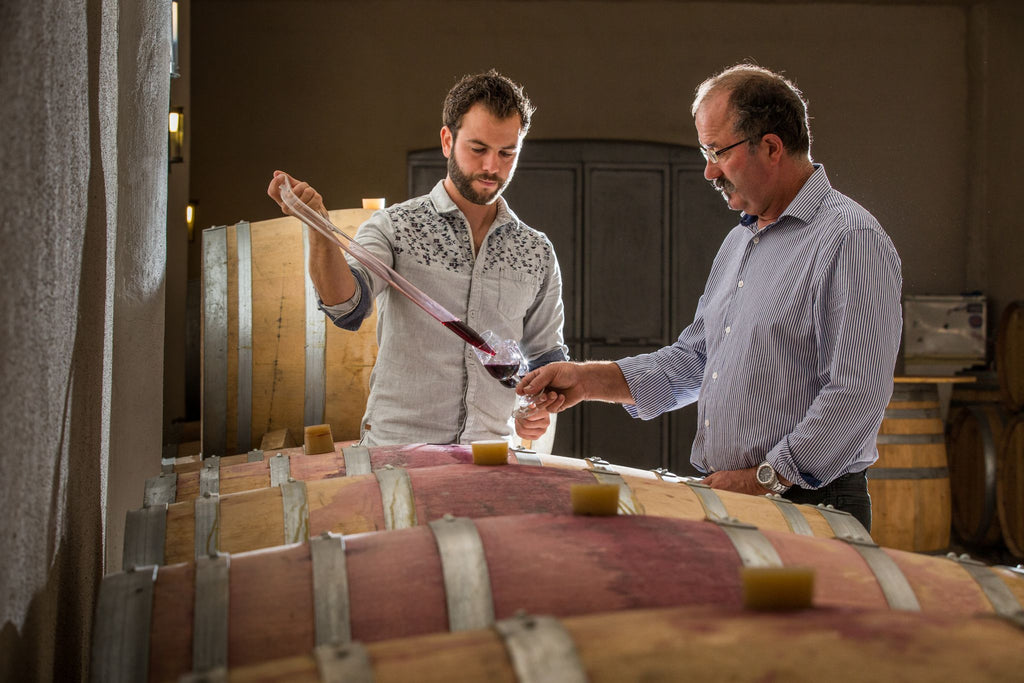 capmartin, bio, cosmique, pimpant, Maumusson-Laguian, sud-ouest, Viognier, Chardonnay, Sauvignon Gris, vins bio, biologique, naturel, sans soufres, nature, fûts, barriques, dégustations, vins rouges, 