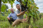 capmartin, bio, cosmique, pimpant, Maumusson-Laguian, sud-ouest, Viognier, Chardonnay, Sauvignon Gris, vins bio, biologique, naturel, sans soufres, nature, fûts, barriques, dégustations, vins rouges, terroir sain, vivant,