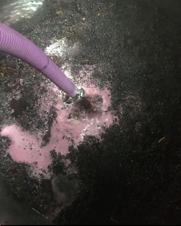 vignes, acheter vin bio, vin, vin bio, Côtes du rhône, naturel, vin nature, vin rouge bio, eclassan, bardes, tracol, rhône, bio, biodynamie, aix les bains, savoie, 